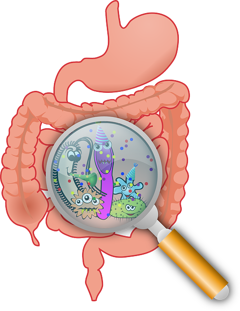 Immunsystem bei Allergie
